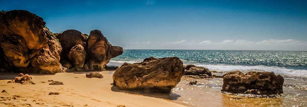 Coast Line with Rocks