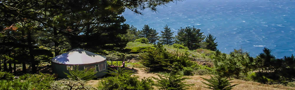 House on the coast surrounded by trees